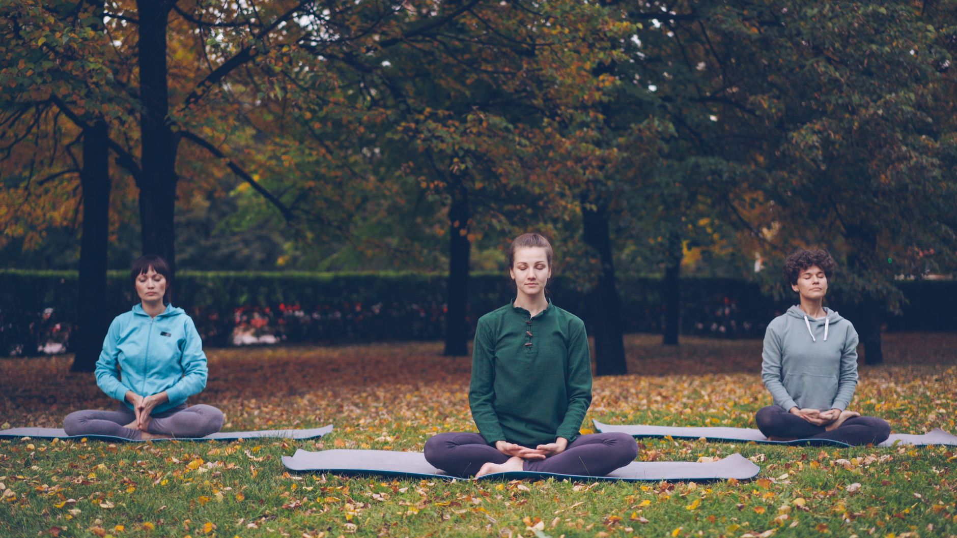 Meilleurs exercices pour corriger la posture au bureau